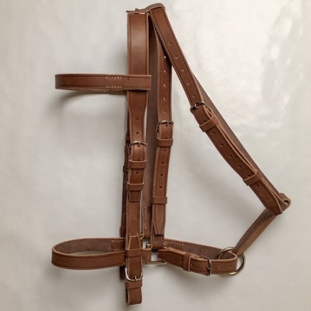 Bridon licol militaire cheval chasse regnier