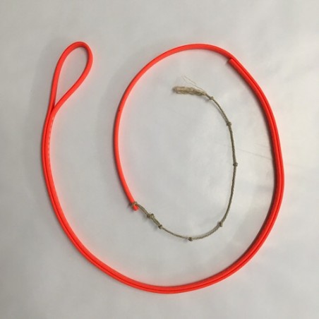 Flotte fouet St Hubert chasse regnier