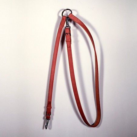 longe de chasse + sellerie regnier