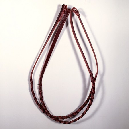 renes bredies sellerie regnier