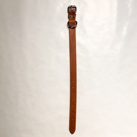 Collier chien chasse Sellerie regnier